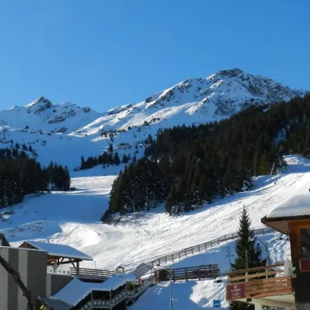 Au Pied Des Pistes - Fr-1-557a-7 Apartment La Ferriere (Isere)
